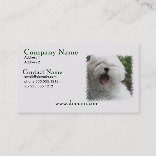 Maltese Dog Business Card Visitekaartje (Voorkant)