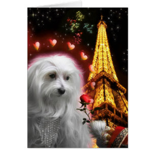 Maltese Dog Eiffel Tower IN LOVE OPNIEUW