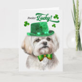 Maltese Dog Feelin' Lucky St Patrick's Day Feestdagen Kaart (Voorkant)