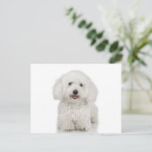 Maltese Dog White Briefkaart (Staand voorkant)