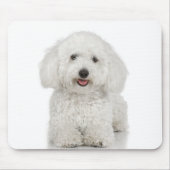 Maltese Dog White Muismat (Voorkant)