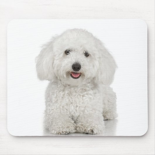 Maltese Dog White Muismat (Voorkant)