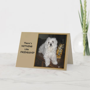 Maltese en Tiger Friendship Kaart voor iedereen