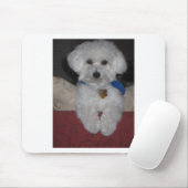 Maltese Gift Muismat (Met muis)