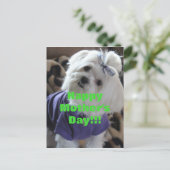 Maltese Gifts Briefkaart (Staand voorkant)