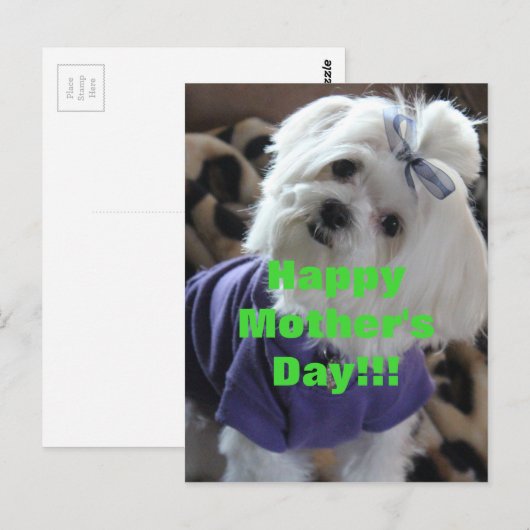 Maltese Gifts Briefkaart (Voorkant / Achterkant)