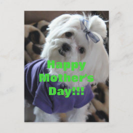 Maltese Gifts Briefkaart