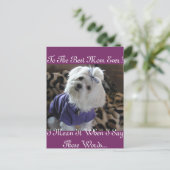 Maltese Gifts Briefkaart (Staand voorkant)