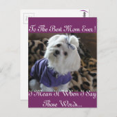 Maltese Gifts Briefkaart (Voorkant / Achterkant)