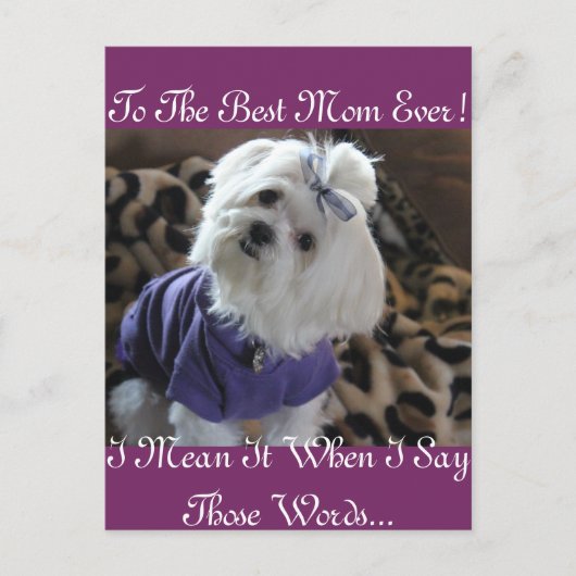 Maltese Gifts Briefkaart (Voorkant)