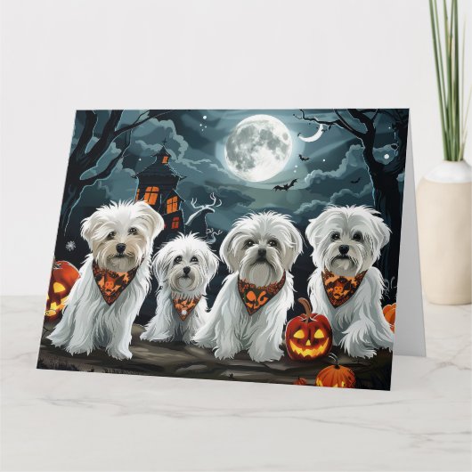 Maltese Halloween Spooky Kaart (Voorkant)