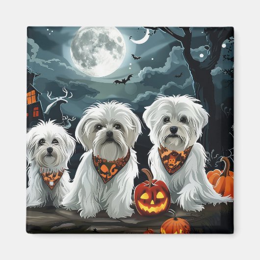 Maltese Halloween Spooky Magneet (Voorkant)