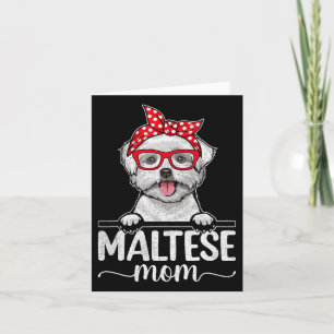 Maltese Head Byndana Mom Vrouwen Moederdag Dog Lov Kaart