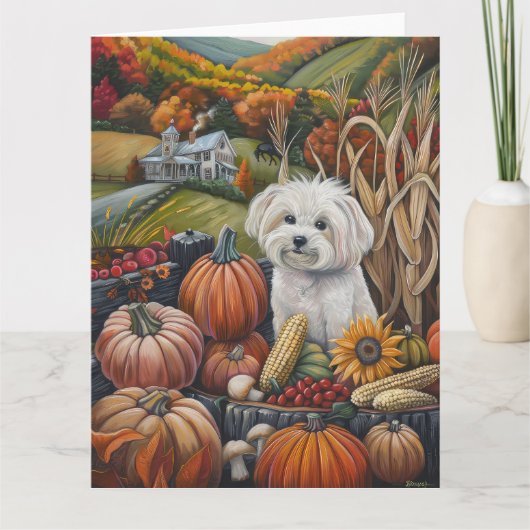 Maltese Herfst Oogst Thanksgiving Kaart (Voorkant)