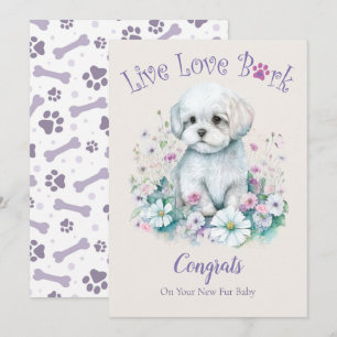 Maltese Hond Adoptie, Gekregen Dag Kaart