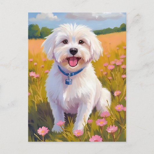 Maltese Hond Bloem Veld Schilderij Briefkaart (Voorkant)