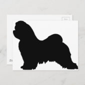 Maltese hond briefkaart (Voorkant / Achterkant)