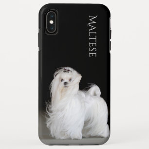 Maltese hond Case-Mate iPhone case