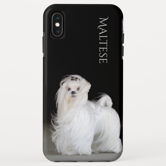 Maltese hond Case-Mate iPhone case (Achterkant)