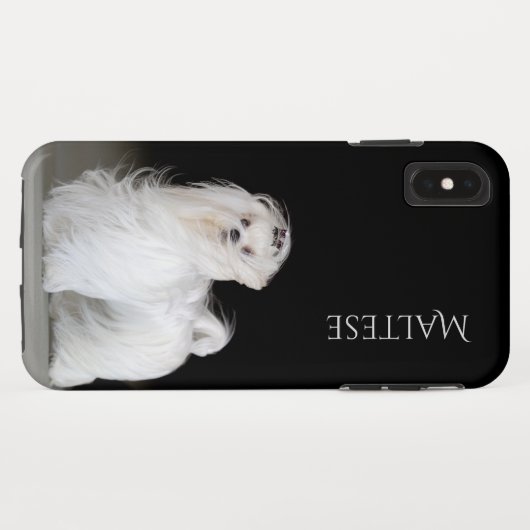 Maltese hond Case-Mate iPhone case (Achterkant (horizontaal))