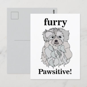 Maltese hond dier huisdier grappig briefkaart