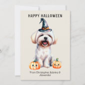 Maltese Hond Gelukkig Halloween Feestdagenkaart (Voorkant)