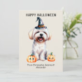 Maltese Hond Gelukkig Halloween Feestdagenkaart (Staand voorkant)