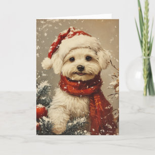 Maltese hond  gepersonaliseerde kerst feestdagen kaart