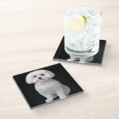 Maltese hond glazen onderzetter (Schuin)