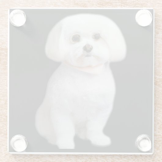 Maltese hond glazen onderzetter (Achterkant)