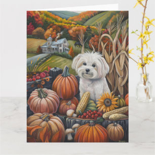 Maltese Hond Herfst Oogst Dankdag Kaart