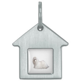 Maltese hond huisdieren naamplaatje