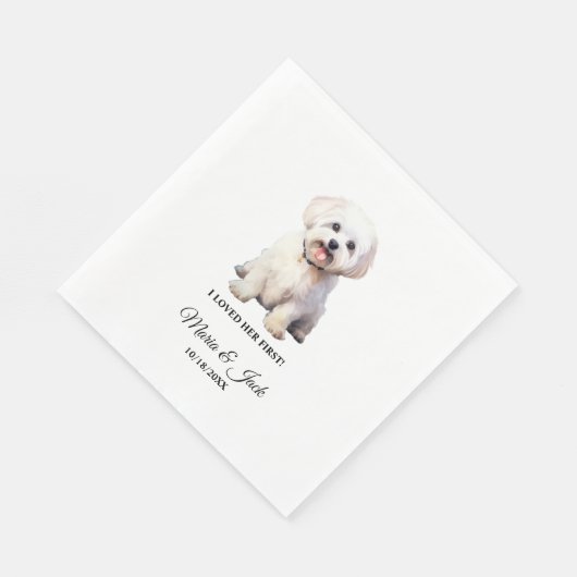 Maltese hond Ik hield van haar eerste huwelijk Servet (Hoek)