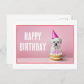 Maltese hond in feesthoed ansichtkaart briefkaart (Voorkant / Achterkant)