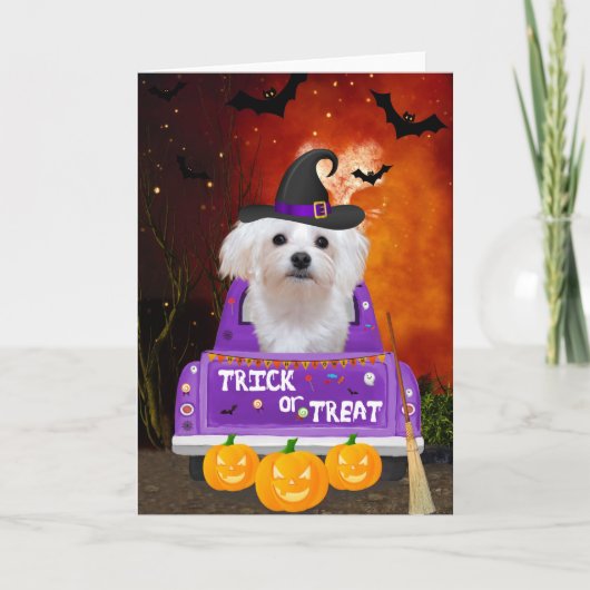 Maltese hond in Halloween Truck Kaart (Voorkant)