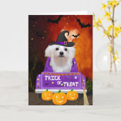 Maltese hond in Halloween Truck Kaart (Gele Bloem)