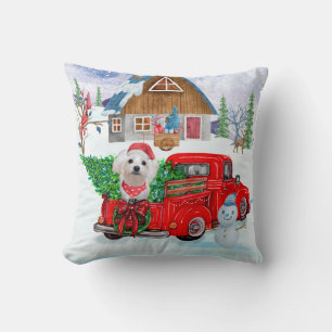 Maltese hond in kerstcadeauwagen kussen