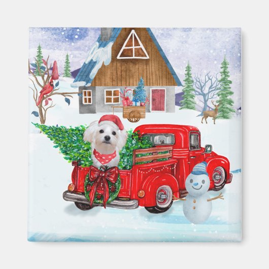 Maltese hond in kerstcadeauwagen magneet (Voorkant)