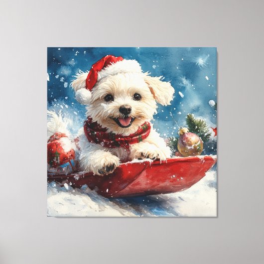 Maltese hond in slee laat het sneeuwen Kerstmis Canvas Afdruk (Voorkant)