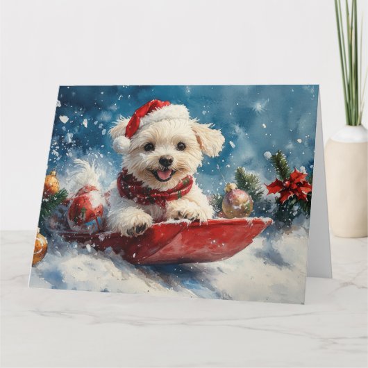 Maltese hond in slee laat het sneeuwen Kerstmis Kaart (Voorkant)