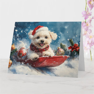 Maltese hond in slee laat het sneeuwen Kerstmis Kaart