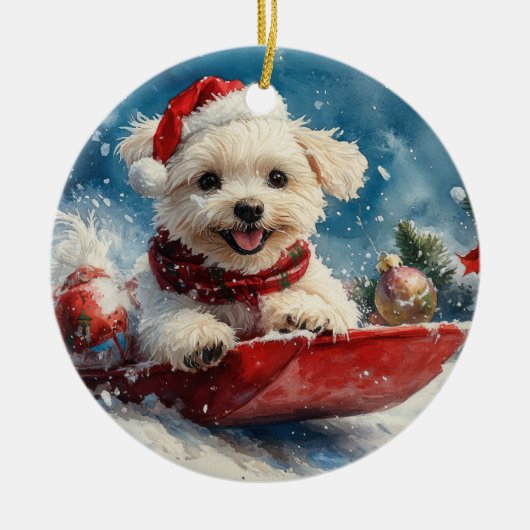 Maltese hond in slee laat het sneeuwen Kerstmis Keramisch Ornament (Voorkant)