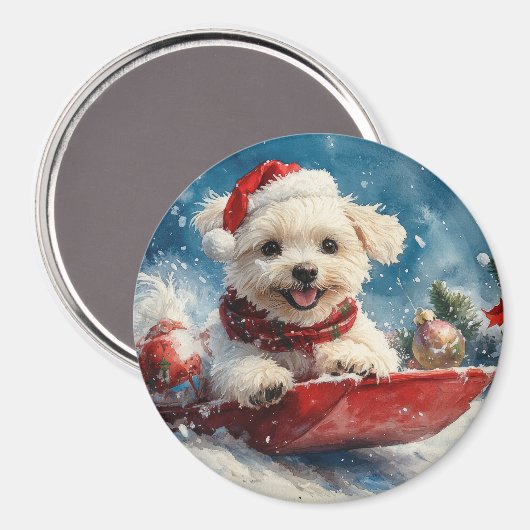 Maltese hond in slee laat het sneeuwen Kerstmis Magneet (Voorkant / Achterkant)