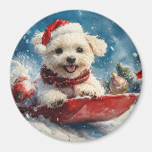 Maltese hond in slee laat het sneeuwen Kerstmis Magneet (Voorkant)