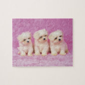 Maltese hond; is een klein ras van witte hond dat legpuzzel (Horizontaal)