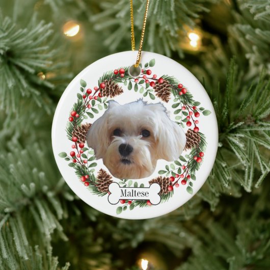 maltese hond keramisch ornament (Boom)