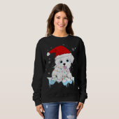 Maltese hond kerstkerstkerstkerstkerstkerstmis met trui (Voorkant volledig)