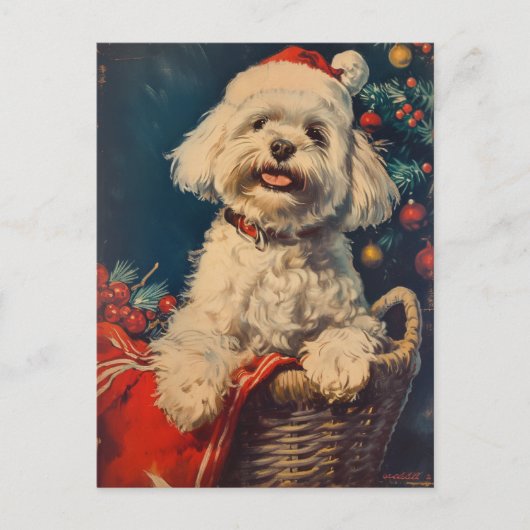 Maltese hond Kerstmis Briefkaart (Voorkant)