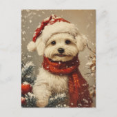 Maltese hond Kerstmis Briefkaart (Voorkant)
