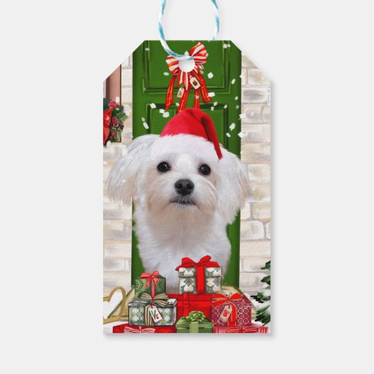 Maltese hond Kerstmis Cadeaulabel (Achterkant)